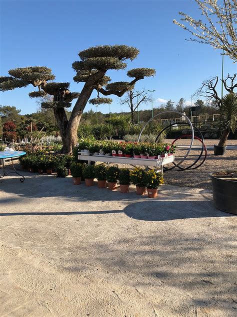versace jardinerie